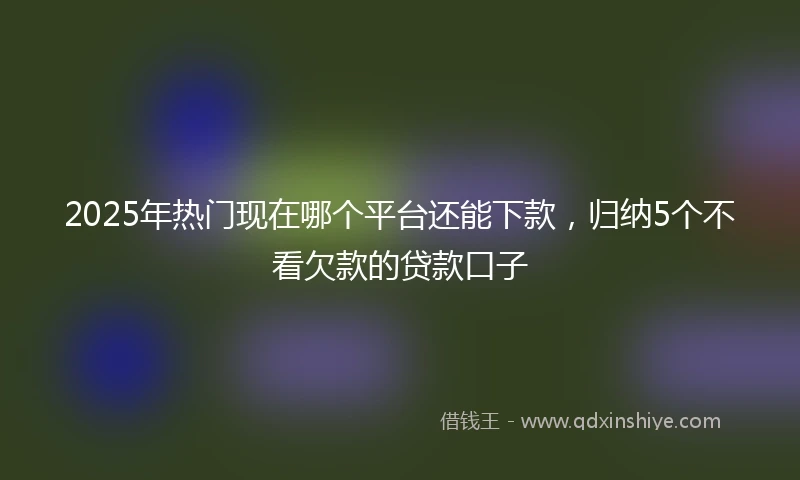 2025年热门现在哪个平台还能下款，归纳5个不看欠款的贷款口子