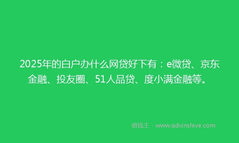 2025年的白户办什么网贷好下有：e微贷、京东金融、投友圈、51人品贷、度小满金融等。