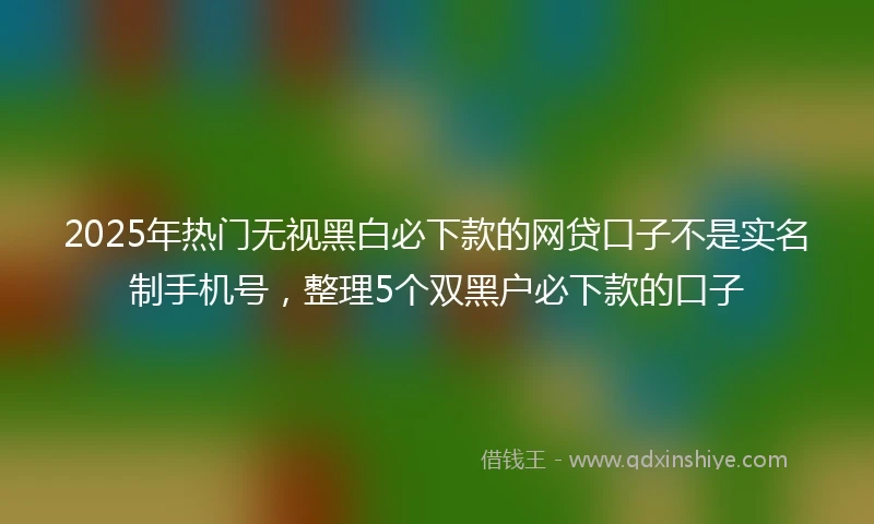 2025年热门无视黑白必下款的网贷口子不是实名制手机号，整理5个双黑户必下款的口子
