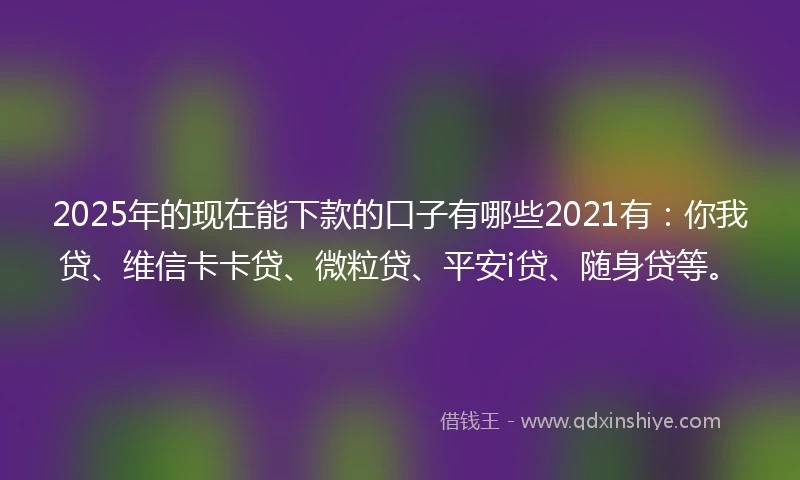 2025年的现在能下款的口子有哪些2021有：你我贷、维信卡卡贷、微粒贷、平安i贷、随身贷等。