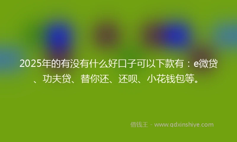 2025年的有没有什么好口子可以下款有：e微贷、功夫贷、替你还、还呗、小花钱包等。