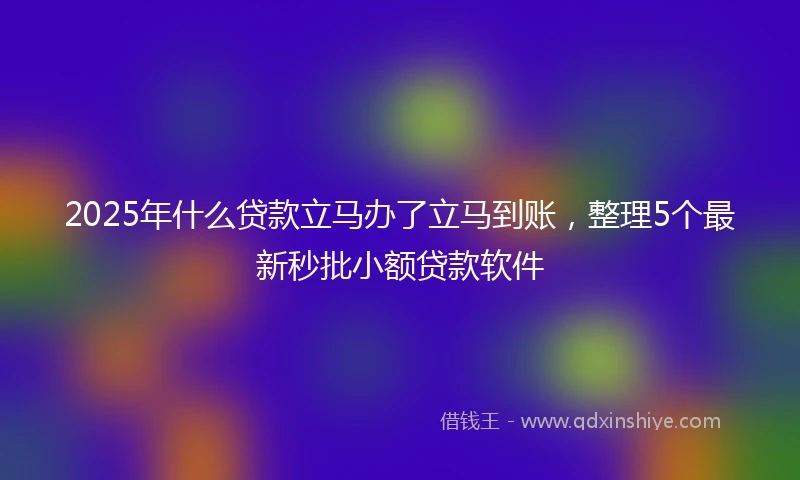 2025年什么贷款立马办了立马到账，整理5个最新秒批小额贷款软件