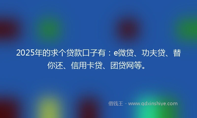 2025年的求个贷款口子有：e微贷、功夫贷、替你还、信用卡贷、团贷网等。