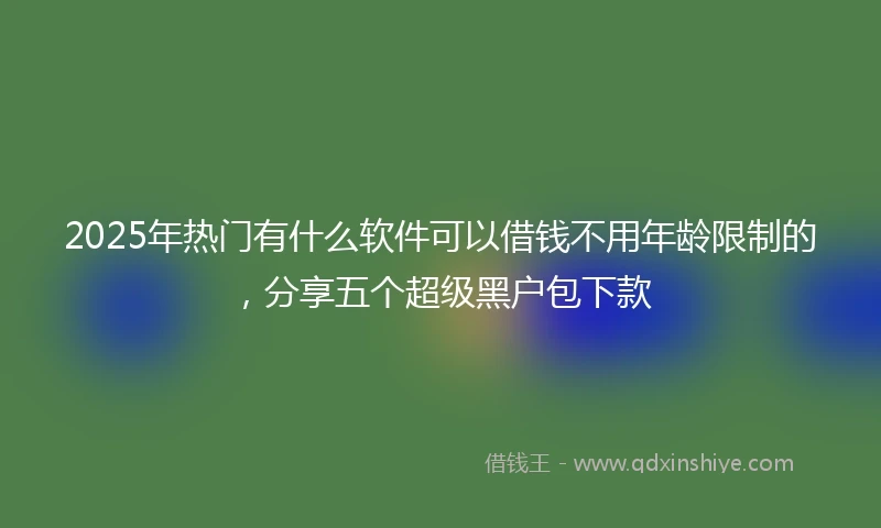 2025年热门有什么软件可以借钱不用年龄限制的，分享五个超级黑户包下款