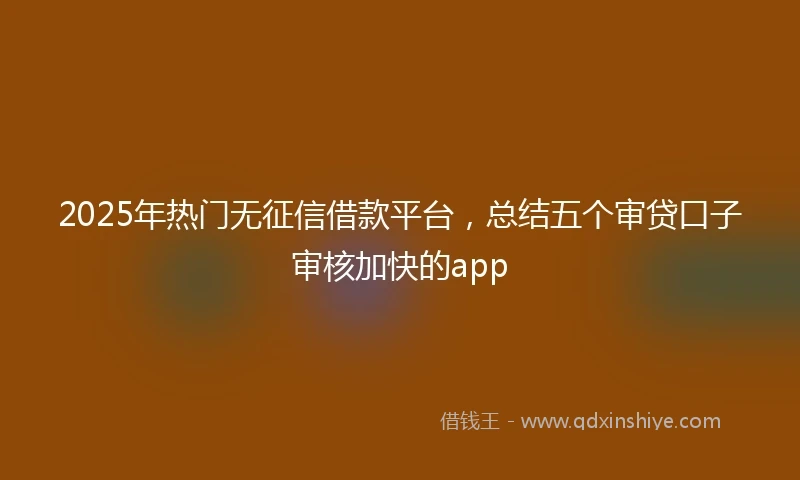 2025年热门无征信借款平台，总结五个审贷口子审核加快的app
