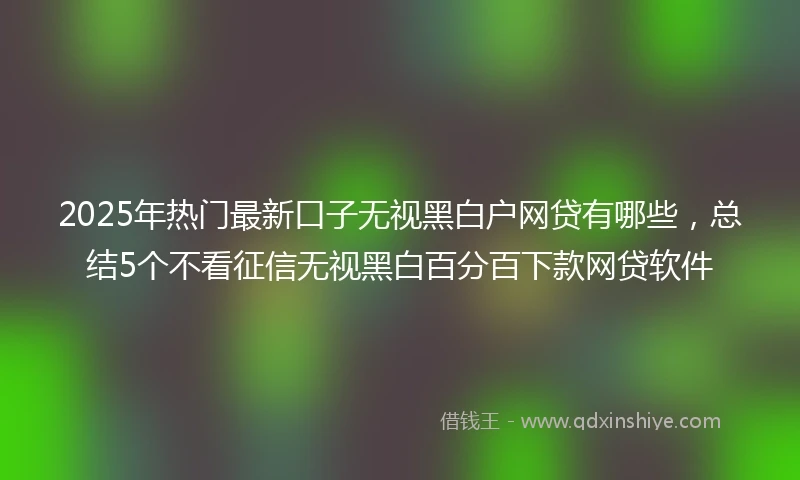 2025年热门最新口子无视黑白户网贷有哪些，总结5个不看征信无视黑白百分百下款网贷软件
