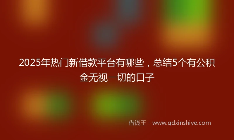 2025年热门新借款平台有哪些，总结5个有公积金无视一切的口子