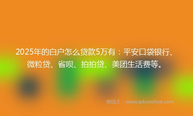 2025年的白户怎么贷款5万有:平安口袋银行、微粒贷、省呗、拍拍贷、美团生活费等。