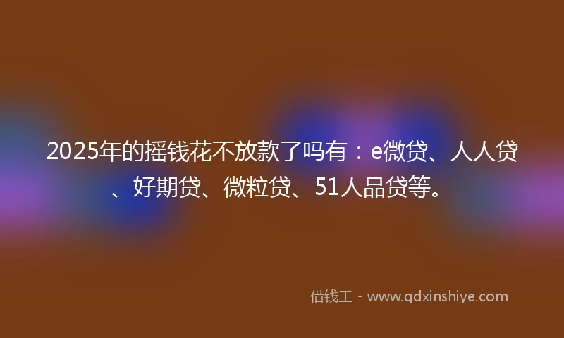 2025年的摇钱花不放款了吗有：e微贷、人人贷、好期贷、微粒贷、51人品贷等。