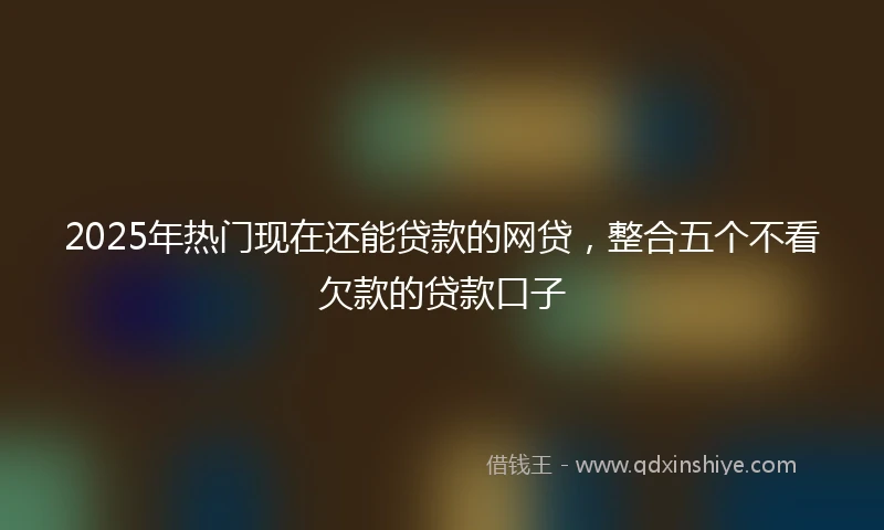 2025年热门现在还能贷款的网贷，整合五个不看欠款的贷款口子