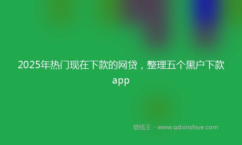 2025年热门现在下款的网贷，整理五个黑户下款app