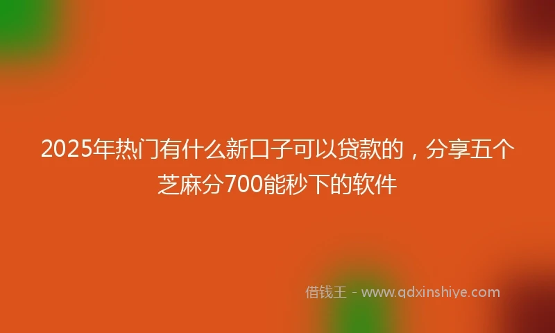 2025年热门有什么新口子可以贷款的，分享五个芝麻分700能秒下的软件