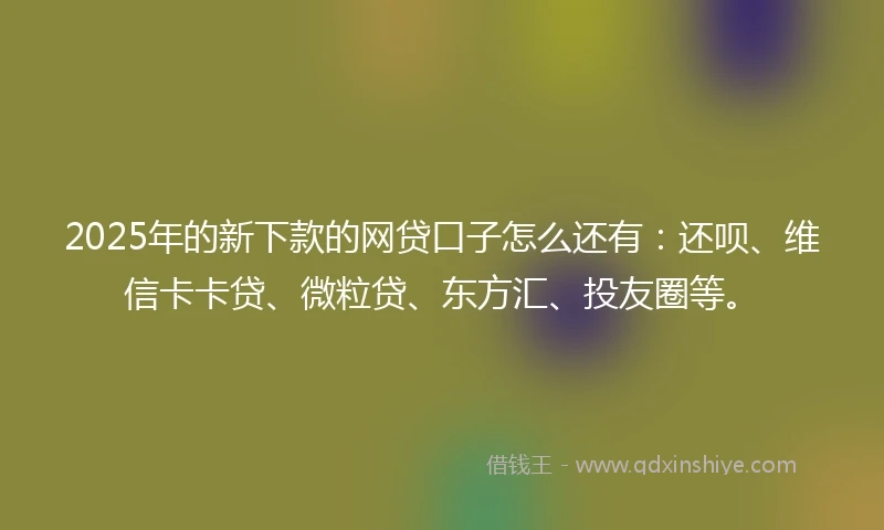 2025年的新下款的网贷口子怎么还有：还呗、维信卡卡贷、微粒贷、东方汇、投友圈等。