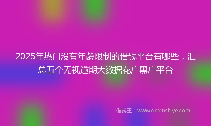 2025年热门没有年龄限制的借钱平台有哪些，汇总五个无视逾期大数据花户黑户平台