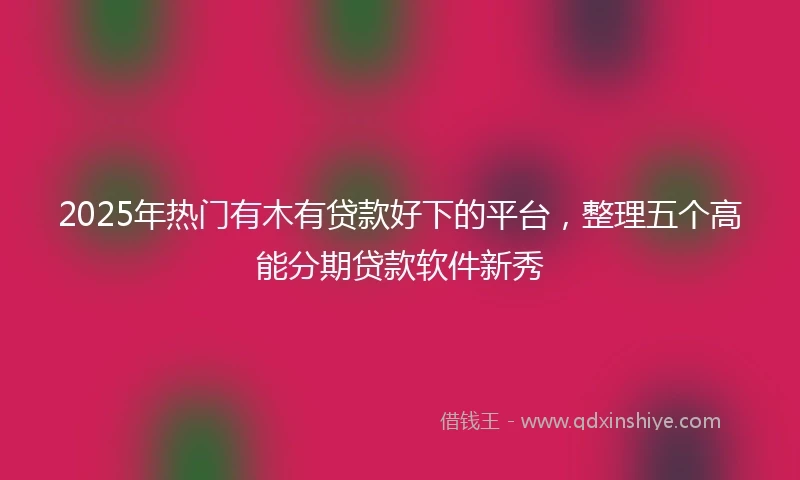 2025年热门有木有贷款好下的平台，整理五个高能分期贷款软件新秀