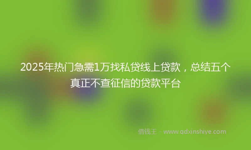 2025年热门急需1万找私贷线上贷款，总结五个真正不查征信的贷款平台