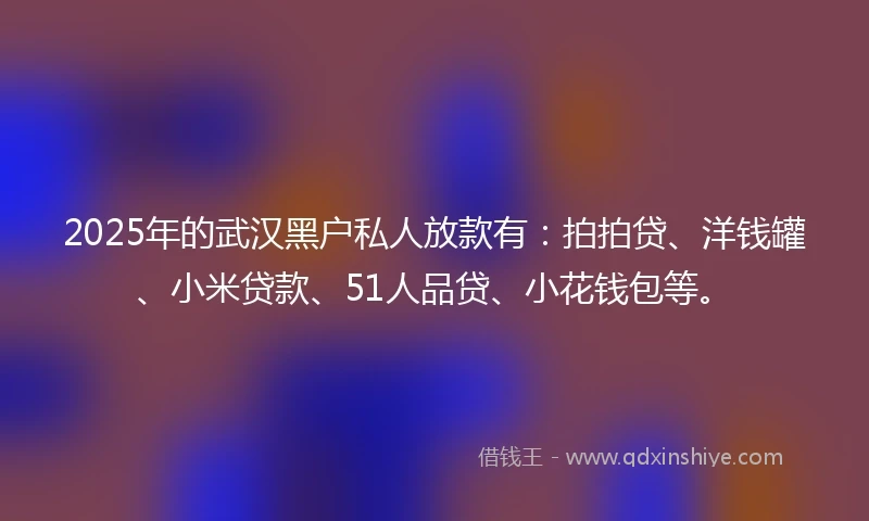 2025年的武汉黑户私人放款有：拍拍贷、洋钱罐、小米贷款、51人品贷、小花钱包等。