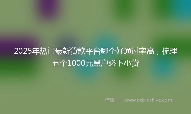 2025年热门最新贷款平台哪个好通过率高，梳理五个1000元黑户必下小贷