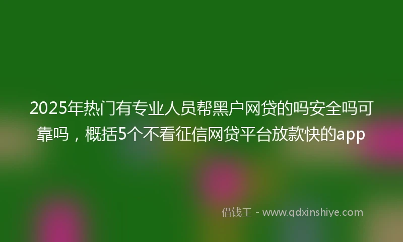 2025年热门有专业人员帮黑户网贷的吗安全吗可靠吗，概括5个不看征信网贷平台放款快的app