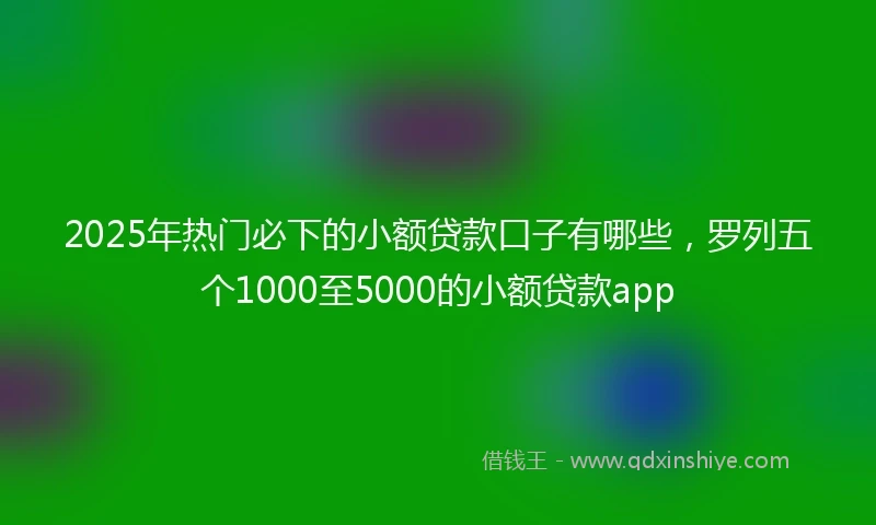 2025年热门必下的小额贷款口子有哪些，罗列五个1000至5000的小额贷款app