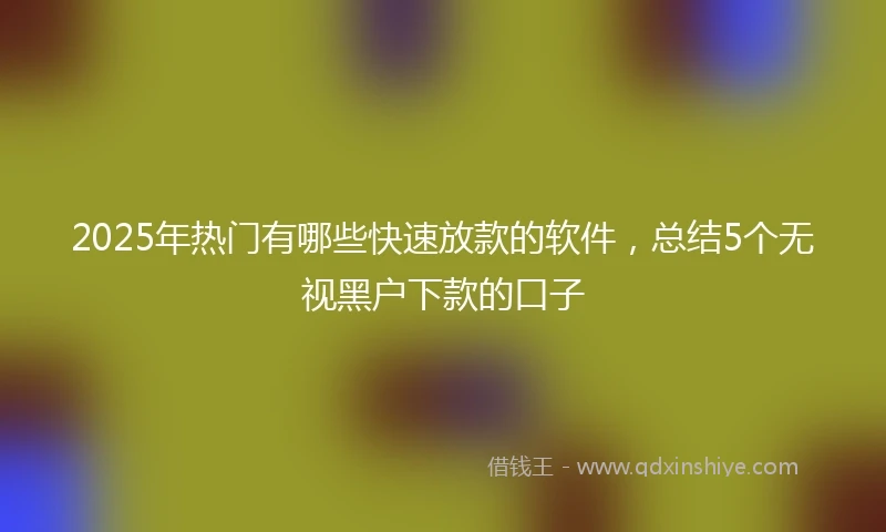 2025年热门有哪些快速放款的软件，总结5个无视黑户下款的口子