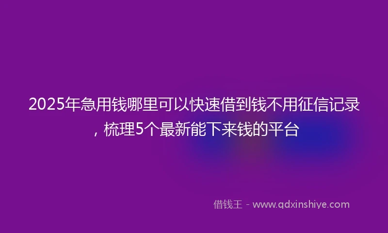 2025年急用钱哪里可以快速借到钱不用征信记录，梳理5个最新能下来钱的平台
