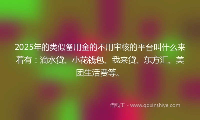 2025年的类似备用金的不用审核的平台叫什么来着有：滴水贷、小花钱包、我来贷、东方汇、美团生活费等。