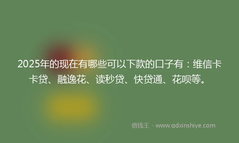 2025年的现在有哪些可以下款的口子有：维信卡卡贷、融逸花、读秒贷、快贷通、花呗等。