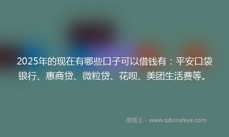 2025年的现在有哪些口子可以借钱有：平安口袋银行、惠商贷、微粒贷、花呗、美团生活费等。