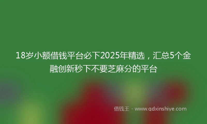 18岁小额借钱平台必下2025年精选，汇总5个金融创新秒下不要芝麻分的平台