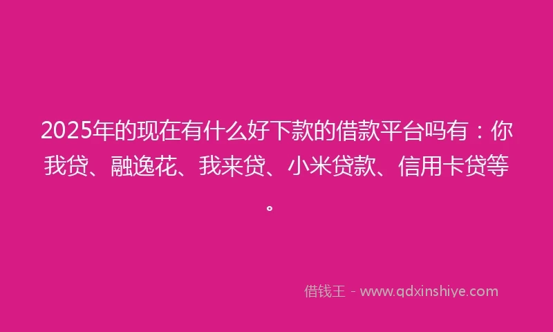 2025年的现在有什么好下款的借款平台吗有：你我贷、融逸花、我来贷、小米贷款、信用卡贷等。