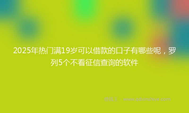 2025年热门满19岁可以借款的口子有哪些呢，罗列5个不看征信查询的软件