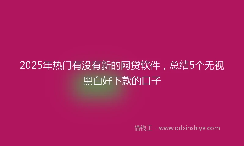 2025年热门有没有新的网贷软件，总结5个无视黑白好下款的口子