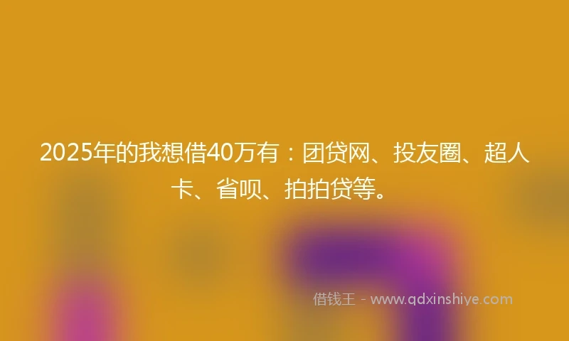 2025年的我想借40万有：团贷网、投友圈、超人卡、省呗、拍拍贷等。