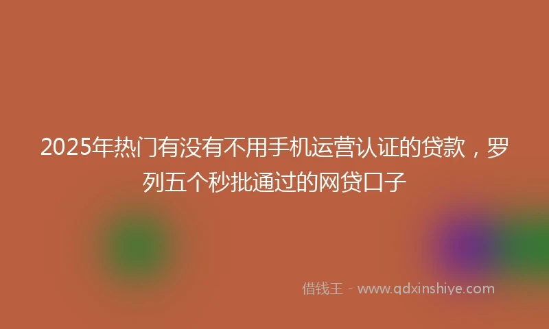 2025年热门有没有不用手机运营认证的贷款，罗列五个秒批通过的网贷口子