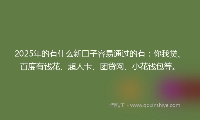 2025年的有什么新口子容易通过的有：你我贷、百度有钱花、超人卡、团贷网、小花钱包等。