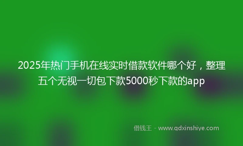 2025年热门手机在线实时借款软件哪个好，整理五个无视一切包下款5000秒下款的app