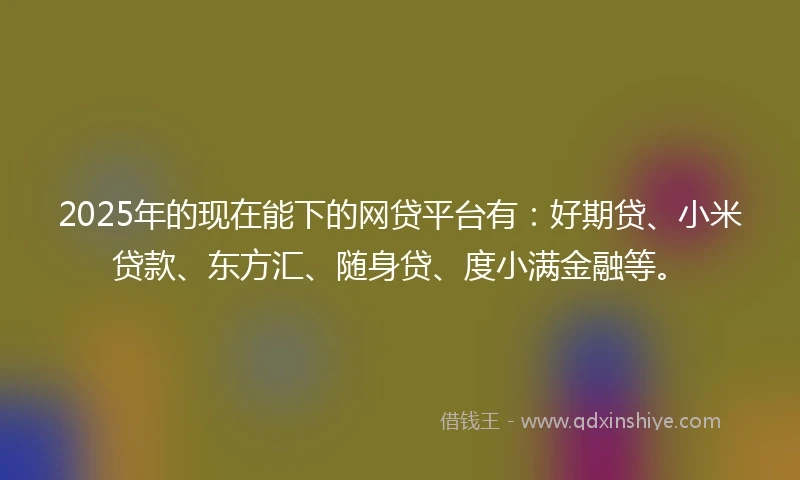 2025年的现在能下的网贷平台有：好期贷、小米贷款、东方汇、随身贷、度小满金融等。