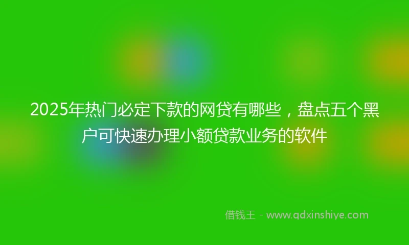 2025年热门必定下款的网贷有哪些，盘点五个黑户可快速办理小额贷款业务的软件