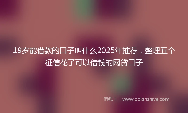 19岁能借款的口子叫什么2025年推荐，整理五个征信花了可以借钱的网贷口子
