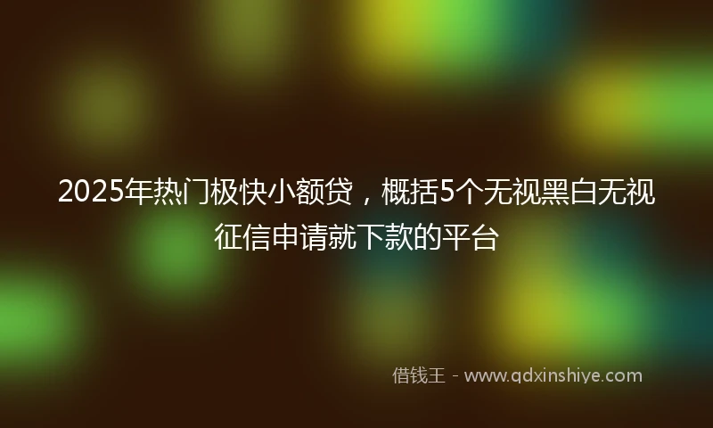 2025年热门极快小额贷，概括5个无视黑白无视征信申请就下款的平台