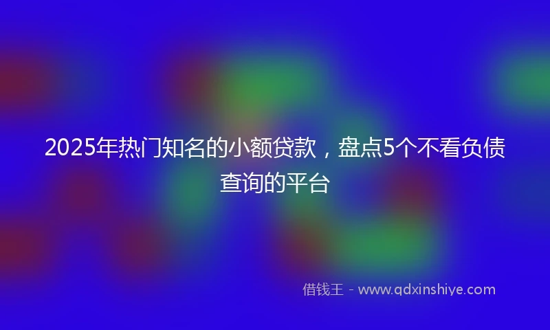 2025年热门知名的小额贷款，盘点5个不看负债查询的平台