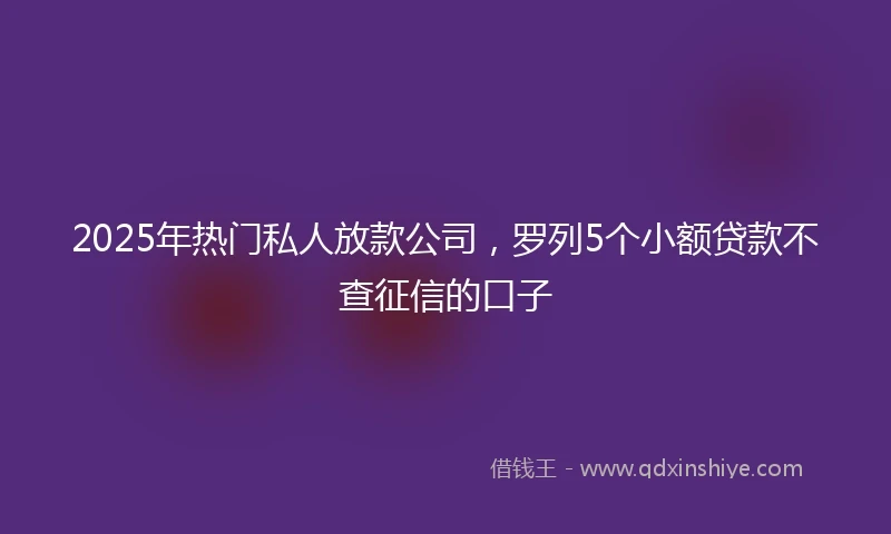 2025年热门私人放款公司，罗列5个小额贷款不查征信的口子