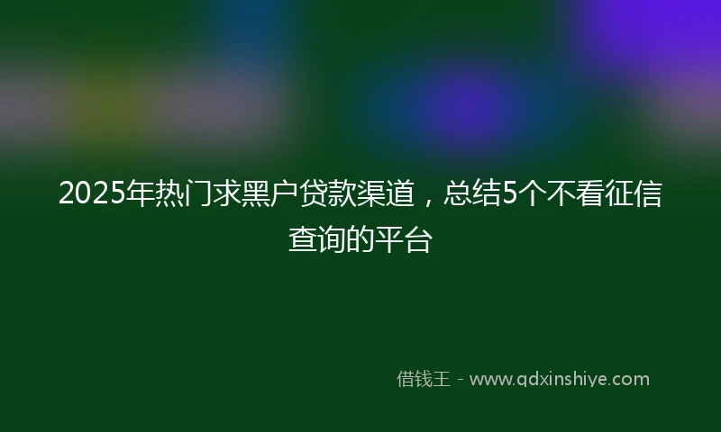 2025年热门求黑户贷款渠道，总结5个不看征信查询的平台