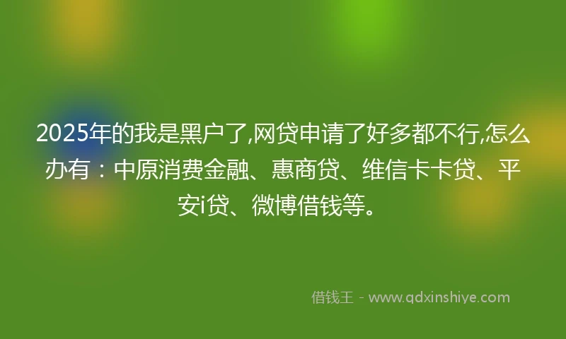 2025年的我是黑户了,网贷申请了好多都不行,怎么办有：中原消费金融、惠商贷、维信卡卡贷、平安i贷、微博借钱等。
