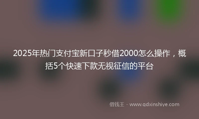 2025年热门支付宝新口子秒借2000怎么操作，概括5个快速下款无视征信的平台