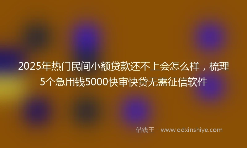 2025年热门民间小额贷款还不上会怎么样，梳理5个急用钱5000快审快贷无需征信软件