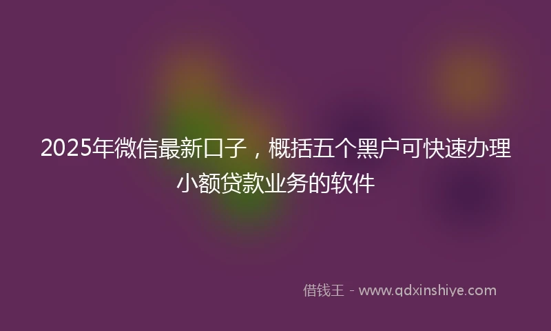 2025年微信最新口子，概括五个黑户可快速办理小额贷款业务的软件