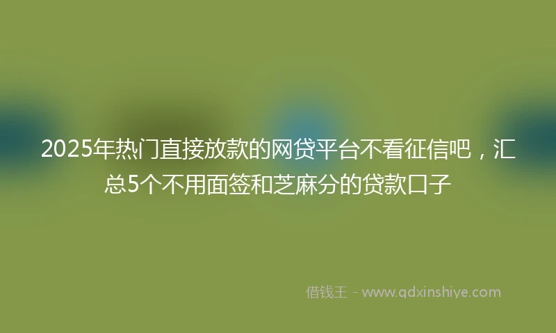 2025年热门直接放款的网贷平台不看征信吧，汇总5个不用面签和芝麻分的贷款口子