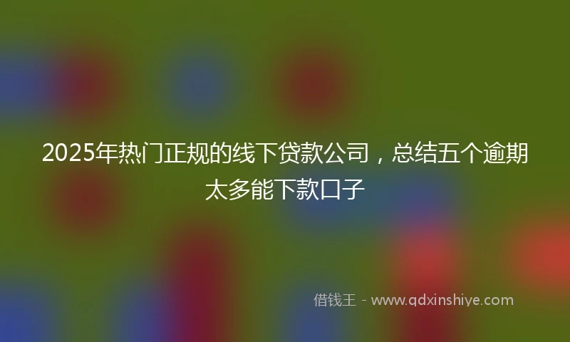 2025年热门正规的线下贷款公司，总结五个逾期太多能下款口子